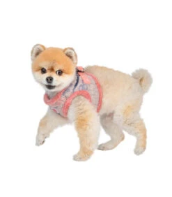 HJ7723 Harnais Veste Fourré En Lainage Rose Freesia Pinkaholic -Animaux Amour Promos Boutique hj7723 harnais veste fourre en lainage rose freesia pinkaholic 7