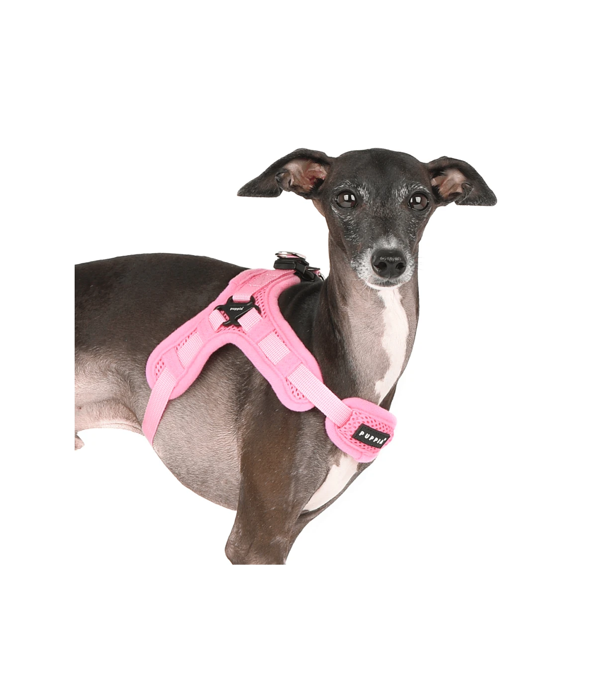 HX1017 Harnais Easy Aéré Rose Puppia 1 HX1017 Harnais Easy Aéré Rose Puppia