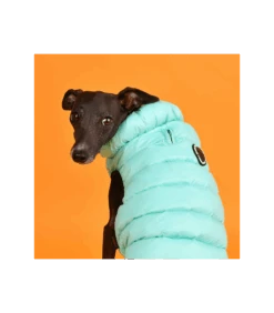 JM1671 Doudoune Ultralight Sky Blue Puppia -Animaux Amour Promos Boutique jm1671 doudoune ultralight sky blue puppia 5