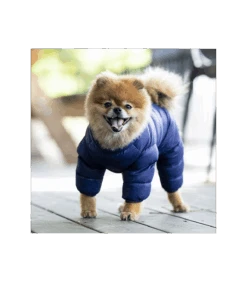 JM1672 Doudoune 4 Pattes Ultralight Navy Puppia -Animaux Amour Promos Boutique jm1672 doudoune 4 pattes ultralight navy puppia 6