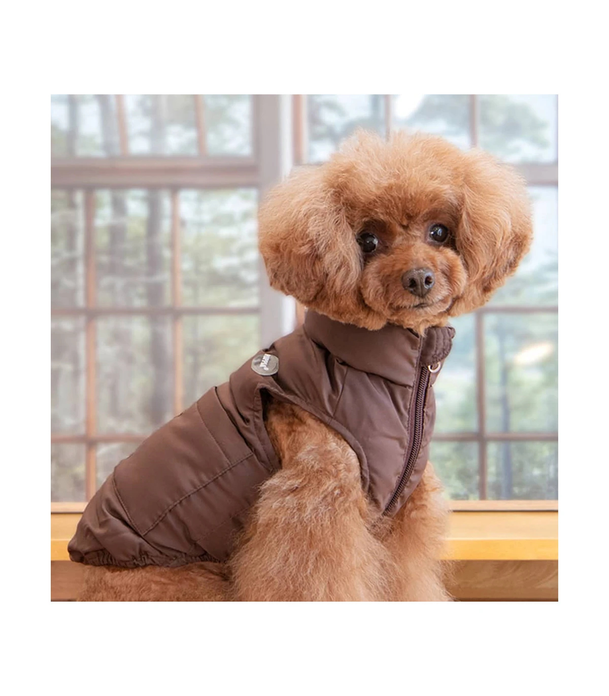 JM1980 Doudoune Rembourré Marron Avec Anneaux D'attache Puppia 1 JM1980 Doudoune Rembourré Marron Avec Anneaux D'attache Puppia