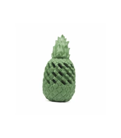 Jouet Ananas Pour Dentition 6259 Record