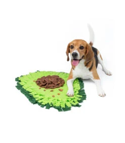 Jouet De Fouille Anti Ennui Avocat Injoya