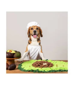 Jouet De Fouille Anti Ennui Avocat Injoya -Animaux Amour Promos Boutique jouet de fouille anti ennui avocat injoya 3