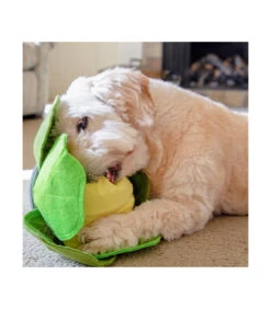 Jouet De Fouille En Feutrine Anti Ennui Choux Vert Injoya -Animaux Amour Promos Boutique jouet de fouille anti ennuie choux vert injoya 1 3