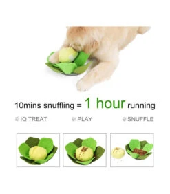 Jouet De Fouille En Feutrine Anti Ennui Choux Vert Injoya -Animaux Amour Promos Boutique jouet de fouille anti ennuie choux vert injoya 1 5