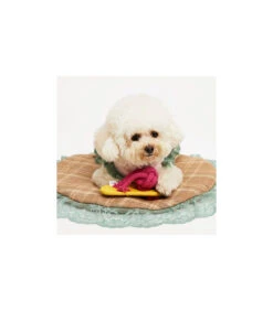 Jouet Tong 100% Coton Pour Dentition Louisdog -Animaux Amour Promos Boutique jouet ld 4