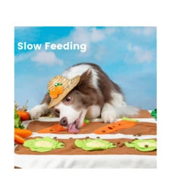 Jouet Tapis De Fouille Anti Ennui Jardin Potager Injoya