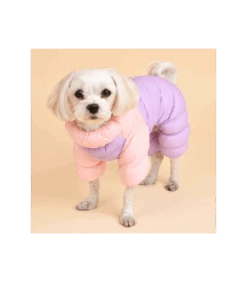 JP1675 Doudoune 4 Pattes Ultralight Rose/Parme Puppia 15 JP1675 Doudoune 4 Pattes Ultralight Rose/Parme Puppia -Animaux Amour Promos Boutique jp1675 doudoune 4 pattes ultralight roseparme puppia 6