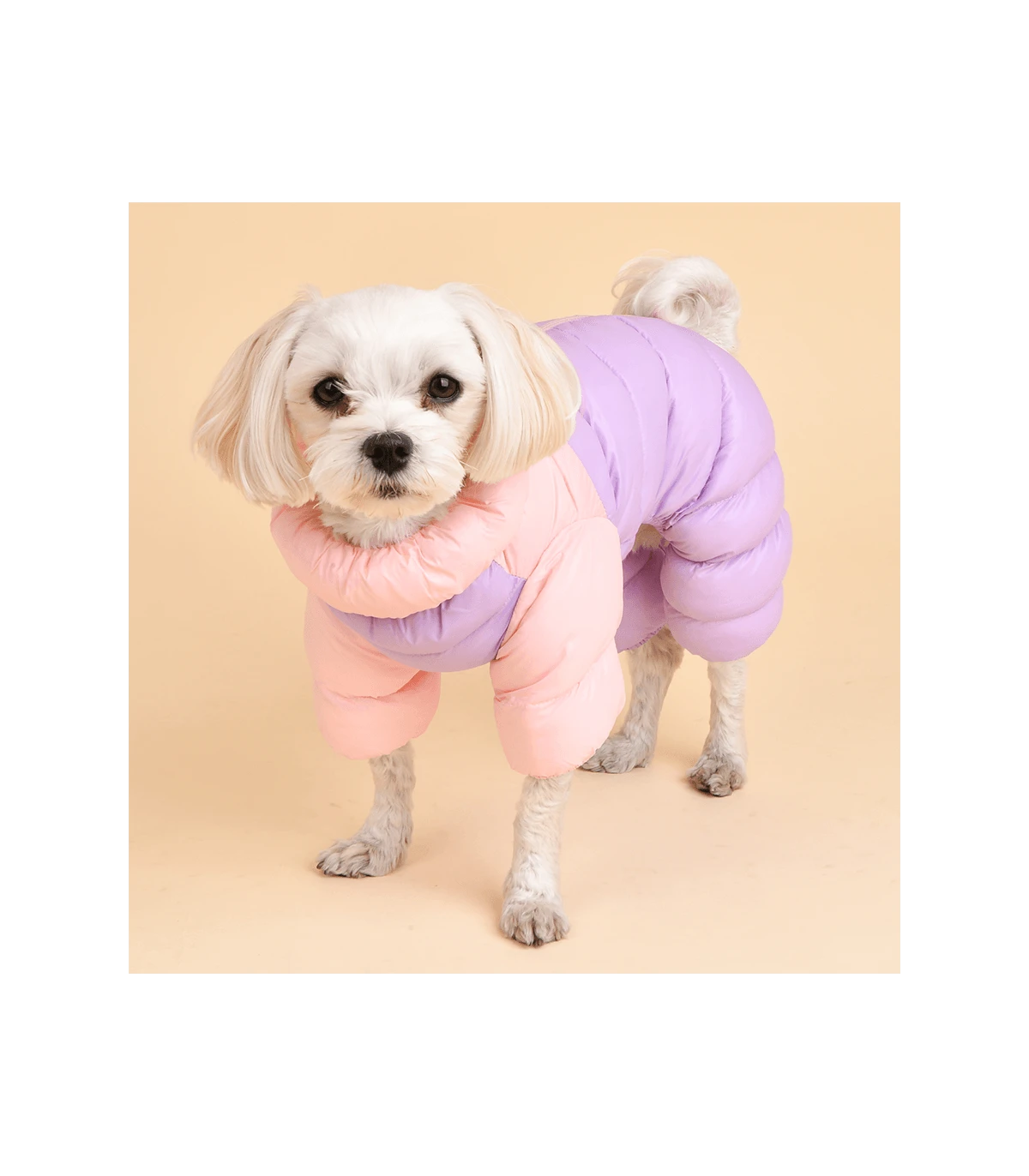 JP1675 Doudoune 4 Pattes Ultralight Rose/Parme Puppia 7 JP1675 Doudoune 4 Pattes Ultralight Rose/Parme Puppia – Image 7