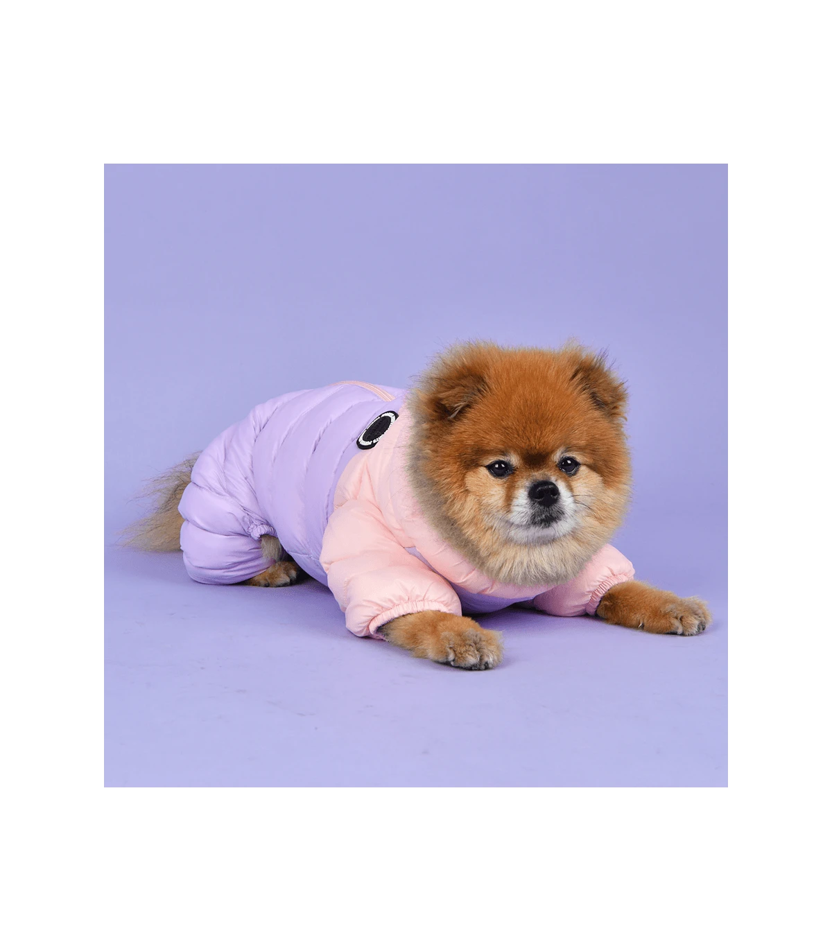 JP1675 Doudoune 4 Pattes Ultralight Rose/Parme Puppia 1 JP1675 Doudoune 4 Pattes Ultralight Rose/Parme Puppia