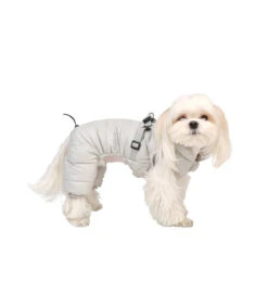JP1938 Doudoune 4 Pattes Rembourré Avec Harnais Integrer Harness Jumsuit Grey Puppia 14 JP1938 Doudoune 4 Pattes Rembourré Avec Harnais Integrer Harness Jumsuit Grey Puppia -Animaux Amour Promos Boutique jp1938 doudoune 4 pattes rembourre avec harnais integrer harness jumsuit grey puppia 6