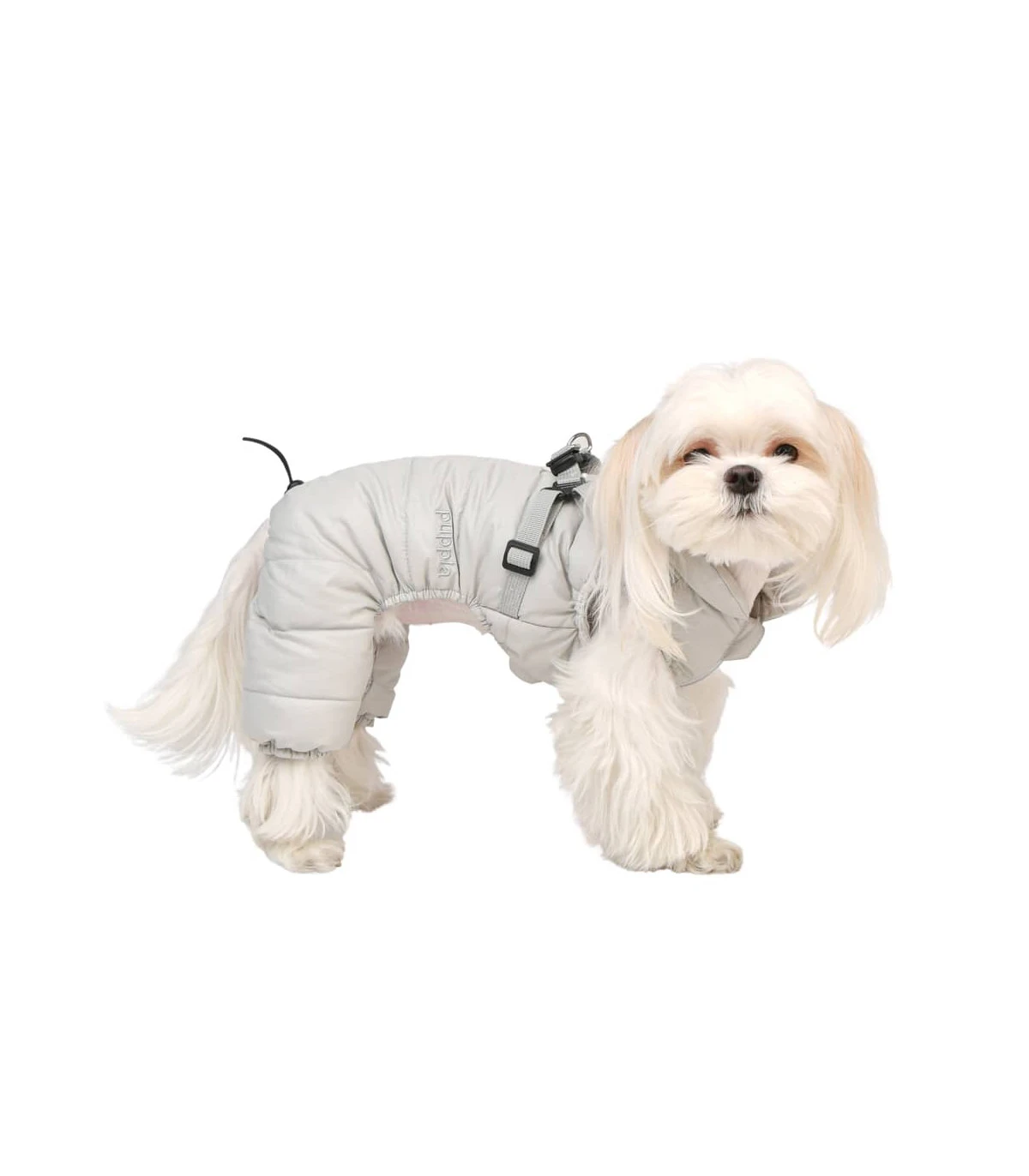 JP1938 Doudoune 4 Pattes Rembourré Avec Harnais Integrer Harness Jumsuit Grey Puppia 7 JP1938 Doudoune 4 Pattes Rembourré Avec Harnais Integrer Harness Jumsuit Grey Puppia – Image 7