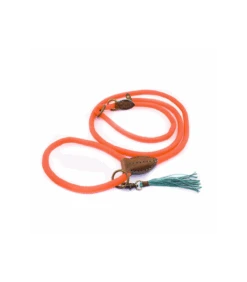 Laisse 2 En 1 Slip Head John Carrot Cake Dwam