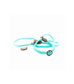 Laisse 2 En 1 Slip Head John Turquoise Dwam -Animaux Amour Promos Boutique laisse 2 en 1 slip head john turquoise dwam 2