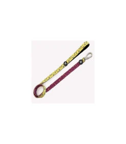 Laisse Double Face Tête De Mors Dukier