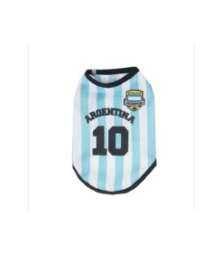 Maillot Équipe D Argentine Messi Parisdog