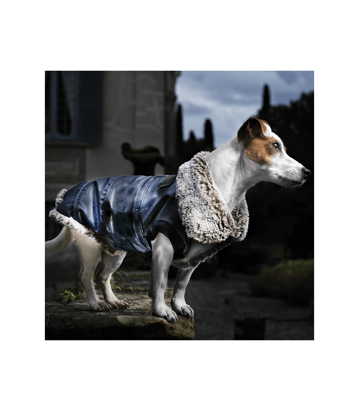 Manteau Fourré En Simili Et Fausse Fourrure Rochester Croci 1 Manteau Fourré En Simili Et Fausse Fourrure Rochester Croci