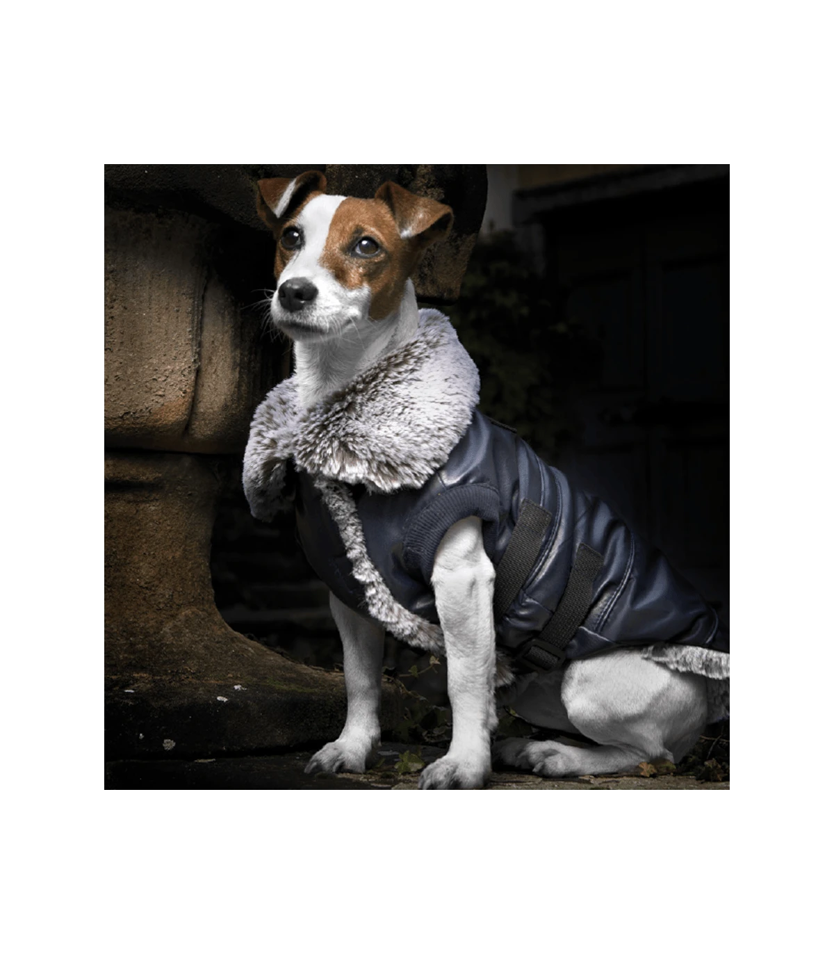 Manteau Fourré En Simili Et Fausse Fourrure Rochester Croci 2 Manteau Fourré En Simili Et Fausse Fourrure Rochester Croci – Image 2