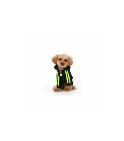 OR283 Jogging Hipster Suit Puppy Angel Black -Animaux Amour Promos Boutique or283 jogging hipster suit puppy angel black 3