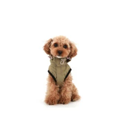 OW401 Imperméable Magagio Raincoat Puppy Angel Brown -Animaux Amour Promos Boutique ow401 impermeable magagio raincoat puppy angel brown 1