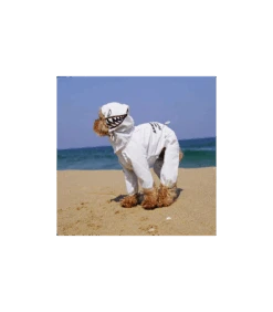 OW404 Imperméable Magagio Raincoat Puppy Angel Red -Animaux Amour Promos Boutique ow404 impermeable magagio raincoat puppy angel red 2