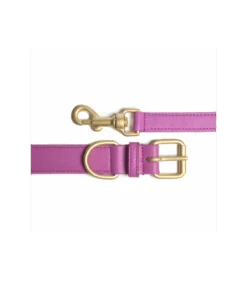PEMG Mignon Collier Cuir Fuchia Uni United Pets 7 PEMG Mignon Collier Cuir Fuchia Uni United Pets -Animaux Amour Promos Boutique pemg mignon collier cuir fuchia uni united pets 2