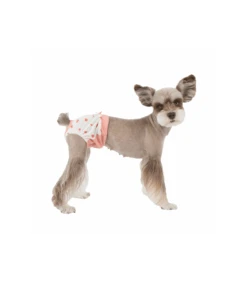 PT7310 Culotte Pawsh Bleu Pinkaholic -Animaux Amour Promos Boutique pt7310 culotte pawsh bleu pinkaholic 2