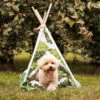 Tipi Pour Chien Imprimé Floral Croci