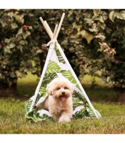 Tipi Pour Chien Imprimé Floral Croci