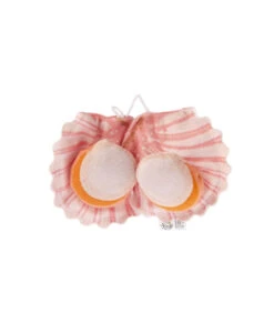 TP1138 Jouet Pour Chat Coquille St Jacques Au Matabi Pour Canne Télescopique Ferribiella -Animaux Amour Promos Boutique tp1138 jouet pour chat coquille st jacques au matabi pour canne telescopique ferribiella 4