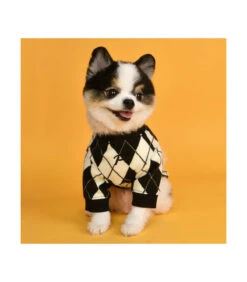 TS1843 Sweat Motif Burlington Black Jaden Puppia -Animaux Amour Promos Boutique ts1843 sweat motif burlington black jaden puppia 2