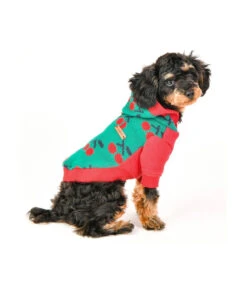 TS1925 Sweat En Maille à Capuche Imprimé Cerise Green Puppia -Animaux Amour Promos Boutique ts1925 sweat en maille a capuche imprime cerise green puppia 5