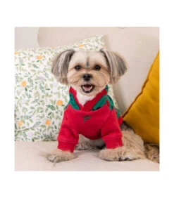 TS1925 Sweat En Maille à Capuche Imprimé Cerise Green Puppia -Animaux Amour Promos Boutique ts1925 sweat en maille a capuche imprime cerise green puppia 6