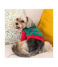 TS1925 Sweat En Maille à Capuche Imprimé Cerise Green Puppia -Animaux Amour Promos Boutique ts1925 sweat en maille a capuche imprime cerise green puppia 7