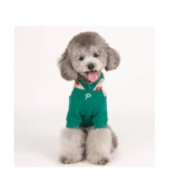 TS1925 Sweat En Maille à Capuche Imprimé Cerise Ivory Puppia -Animaux Amour Promos Boutique ts1925 sweat en maille a capuche imprime cerise ivory puppia 6