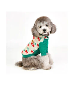 TS1925 Sweat En Maille à Capuche Imprimé Cerise Ivory Puppia -Animaux Amour Promos Boutique ts1925 sweat en maille a capuche imprime cerise ivory puppia 7