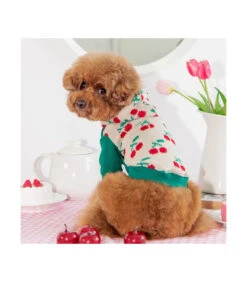 TS1925 Sweat En Maille à Capuche Imprimé Cerise Ivory Puppia -Animaux Amour Promos Boutique ts1925 sweat en maille a capuche imprime cerise ivory puppia 8