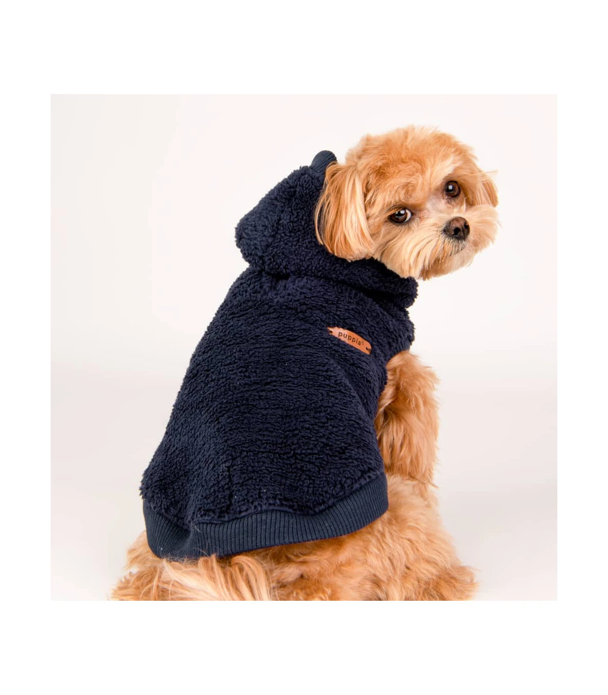 TS1936 Sweat Polaire à Capuche Navy Puppia 9 TS1936 Sweat Polaire à Capuche Navy Puppia – Image 9