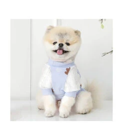 TS7701 Tee-Shirt En Coton Motif Ourson Bleu Millie Pinkaholic -Animaux Amour Promos Boutique ts7101 tee shirt 1 2