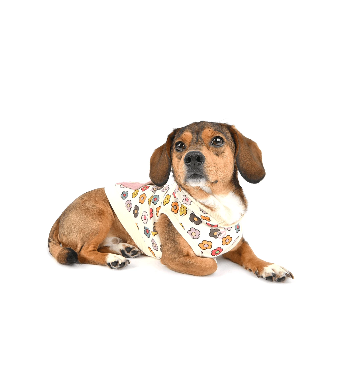 TS7645 Sweat Aconite Ivoire Pinkaholic 6 TS7645 Sweat Aconite Ivoire Pinkaholic – Image 6