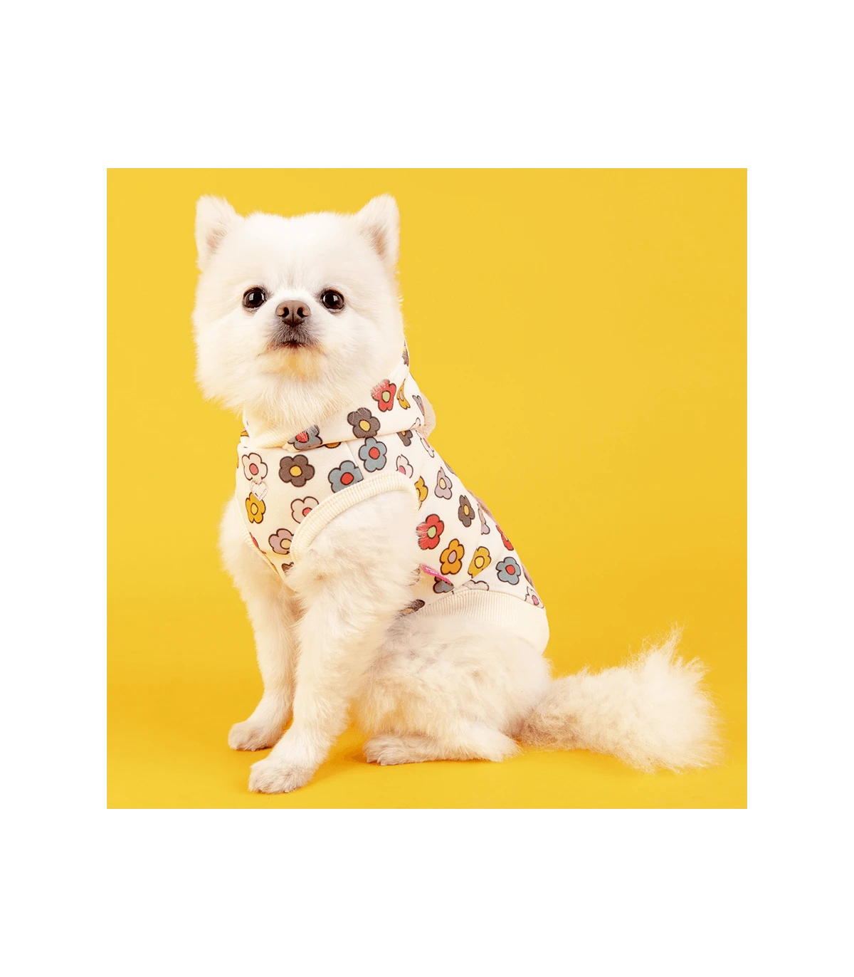 TS7645 Sweat Aconite Ivoire Pinkaholic 8 TS7645 Sweat Aconite Ivoire Pinkaholic – Image 8