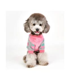 TS7673 Sweat Polaire Gris Avec Motif Fraise Rose Delizz Pinkaholic -Animaux Amour Promos Boutique ts7673 sweat gris avec motif fraise rose delizz pinkaholic 8