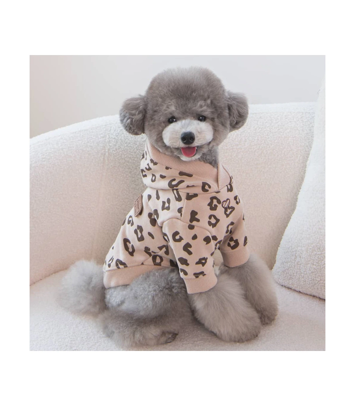 TS7727 Sweat En Cotton Léopard Beige Leopardess Pinkaholic 5 TS7727 Sweat En Cotton Léopard Beige Leopardess Pinkaholic – Image 5