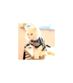 TS9282 Tee-shirt Pour Chat Catspia Mies Navy -Animaux Amour Promos Boutique ts9282 tee shirt pour chat catspia mies navy 2