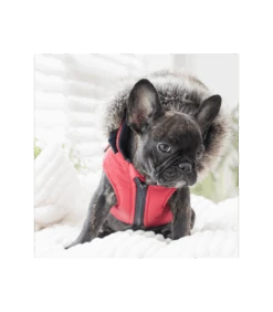 VT1569 Doudoune 2 En 1 Orson Rouge Puppia 7 VT1569 Doudoune 2 En 1 Orson Rouge Puppia -Animaux Amour Promos Boutique vt1569 doudoune 2 en 1 orson rouge puppia 2