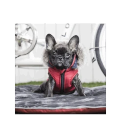 VT1569 Doudoune 2 En 1 Orson Rouge Puppia 8 VT1569 Doudoune 2 En 1 Orson Rouge Puppia -Animaux Amour Promos Boutique vt1569 doudoune 2 en 1 orson rouge puppia 3