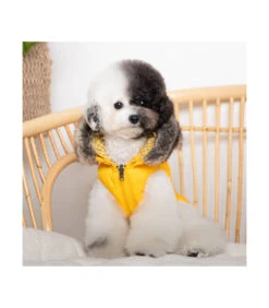 VT1850 Doudoune Reversible Avec Capuche Yellow Hollis Puppia -Animaux Amour Promos Boutique vt1850 doudoune reversible avec capuche yellow hollis puppia 1 4