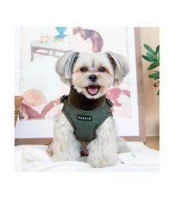 VT1853 Doudoune Col Fourré Avec Harnais Integrer Kaki Donavan Puppia -Animaux Amour Promos Boutique vt1853 doudoune col fourre avec harnais integrer kaki donavan puppia 7