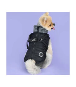 VT1853 Doudoune Col Fourré Avec Harnais Integrer Black Donavan Puppia -Animaux Amour Promos Boutique vt1853 doudoune impermeable avec harnais integrer black donavan puppia 8